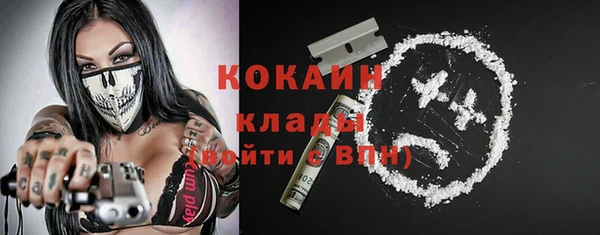 таблы Осинники