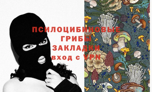 таблы Осинники