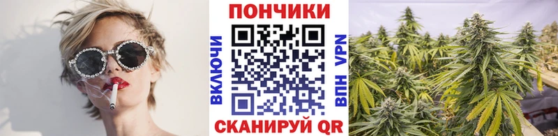 Каннабис OG Kush  omg ссылки  Оренбург 